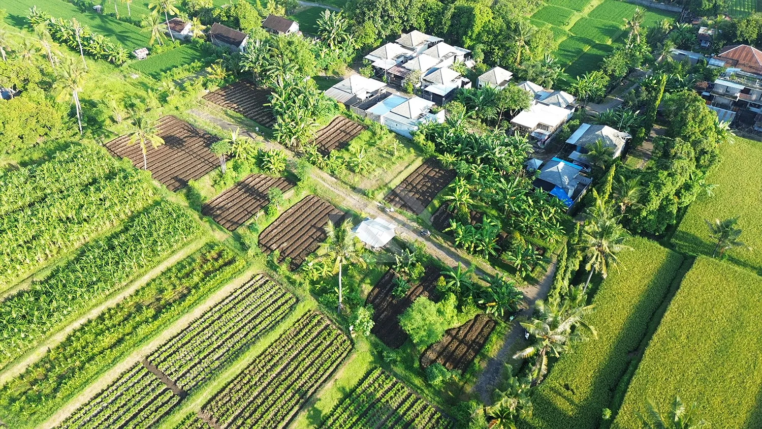 Tanah Kavling Gang Tasbih - 2