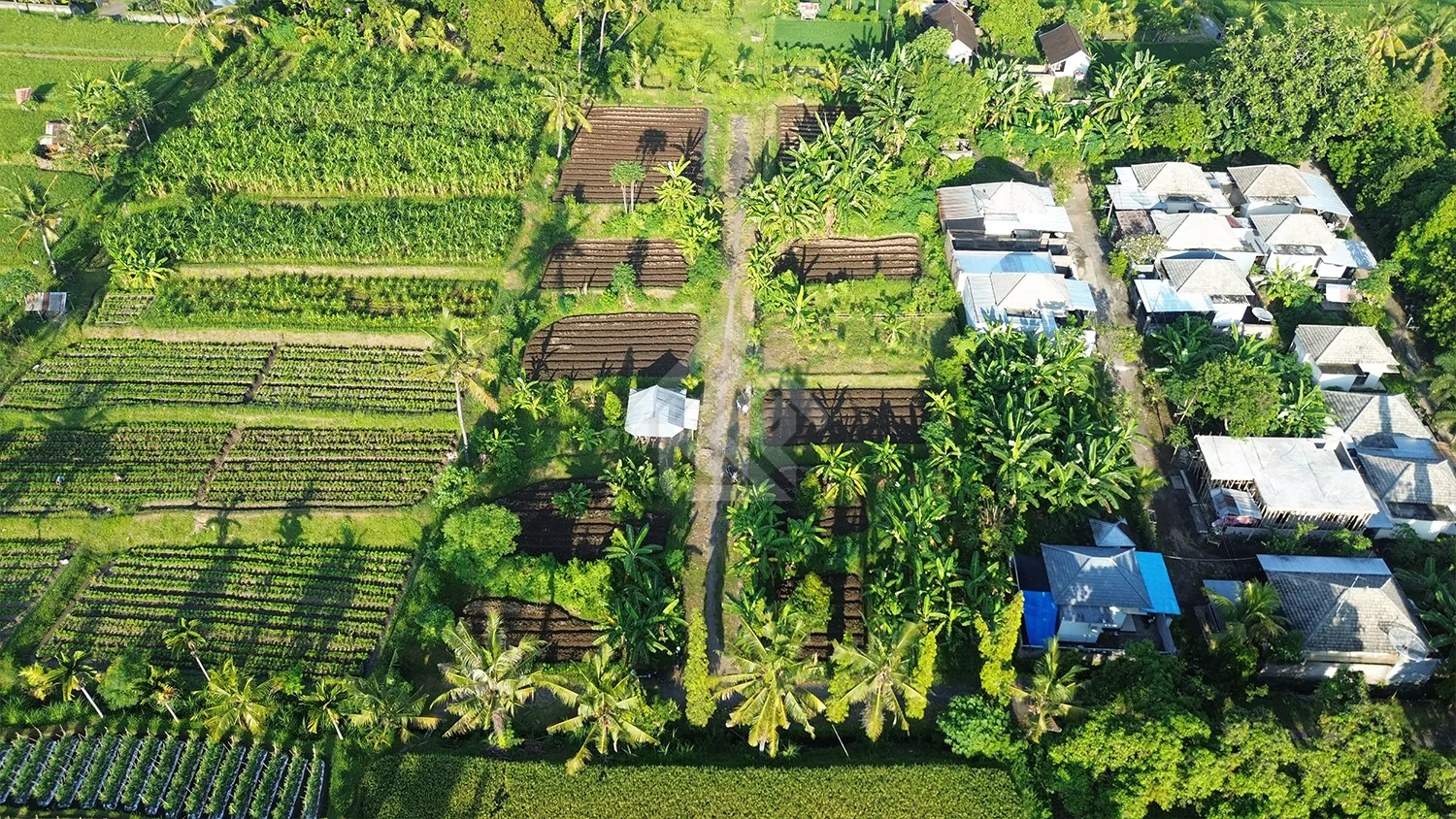 Tanah Kavling Gang Tasbih - 3