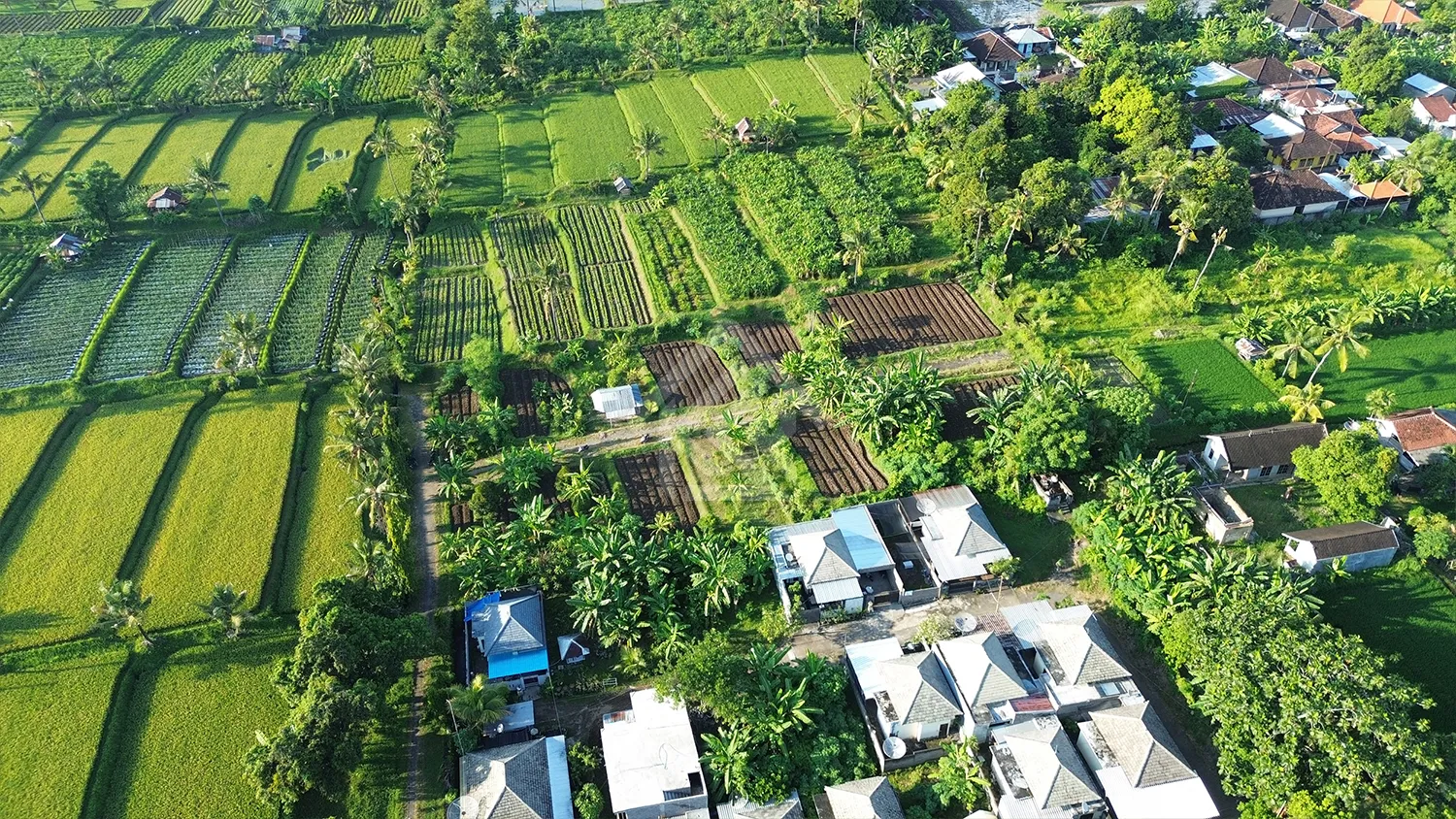 Tanah Kavling Gang Tasbih - 4