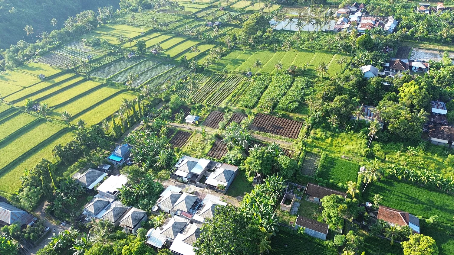 Tanah Kavling Gang Tasbih - 5