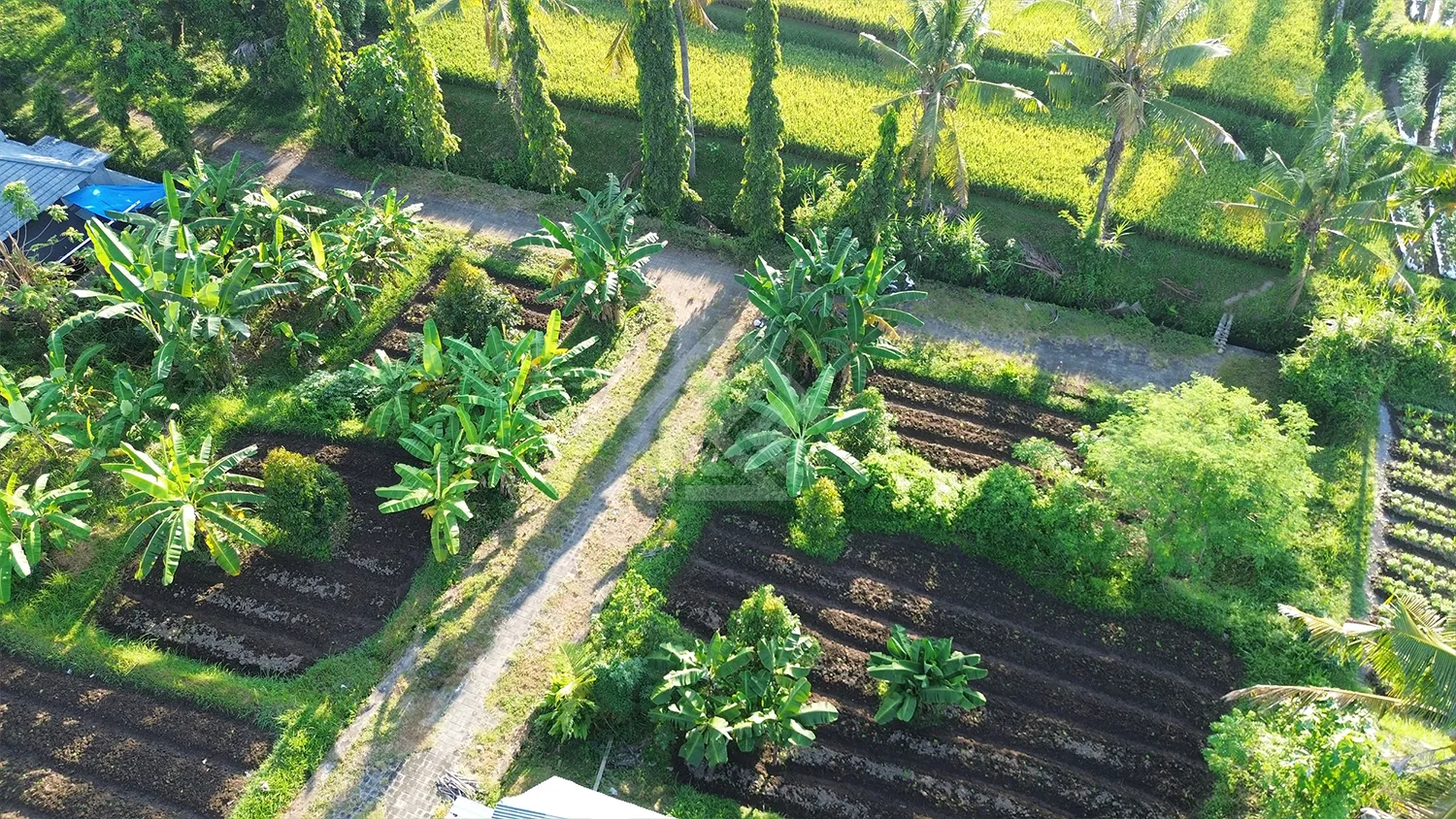 Tanah Kavling Gang Tasbih - 6