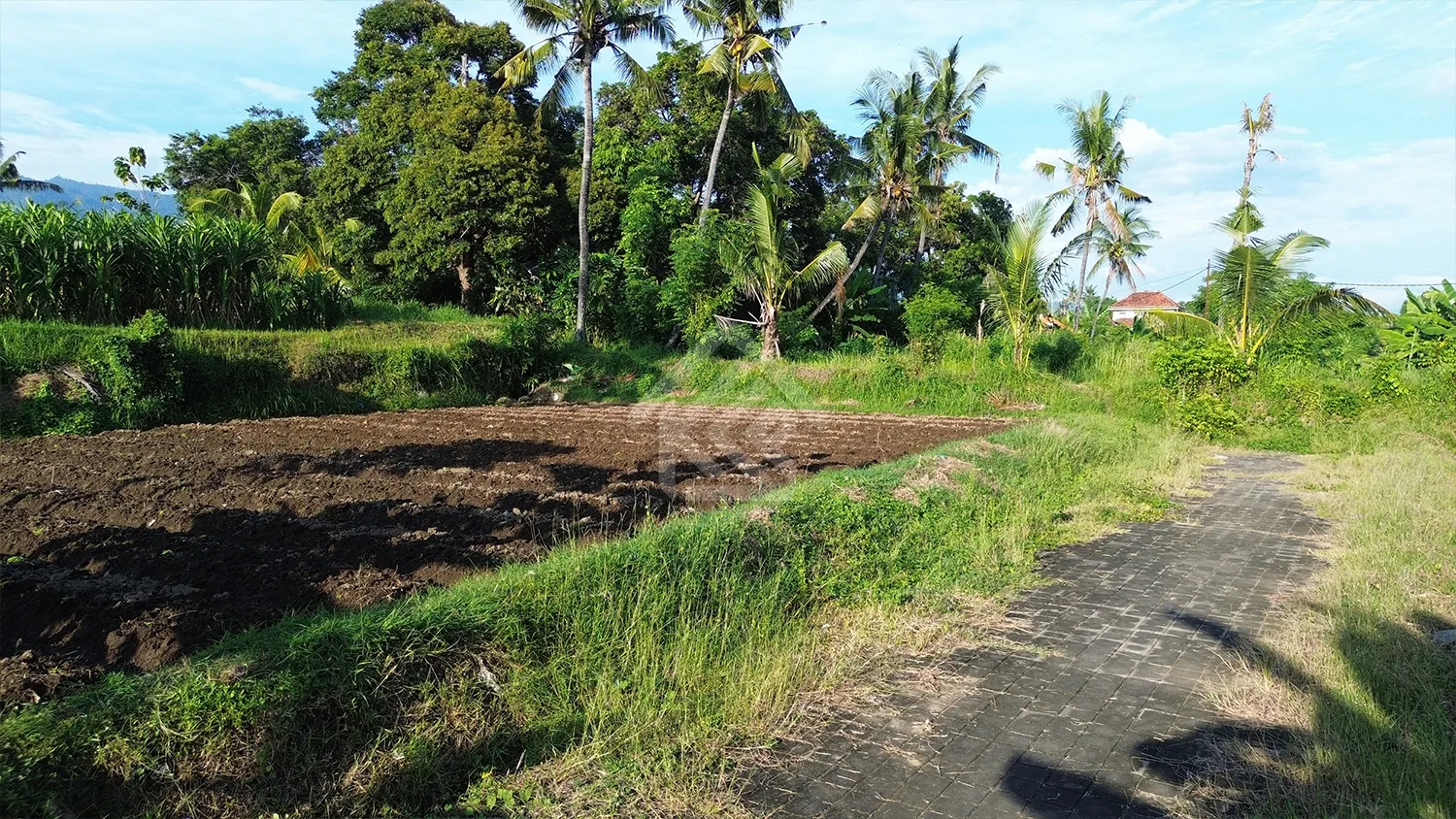 Tanah Kavling Gang Tasbih - 7