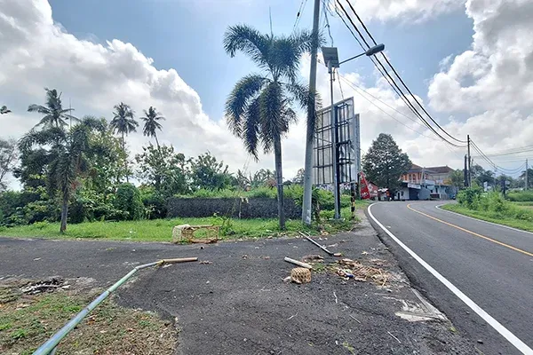 Dijual Tanah 1 Hektar Pinggir Jalan Singaraja Denpasar - 2
