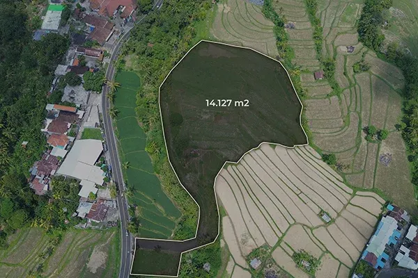 Dijual Tanah 1 Hektar Pinggir Jalan Singaraja Denpasar - 3