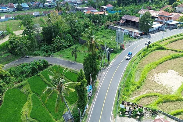 Dijual Tanah 1 Hektar Pinggir Jalan Singaraja Denpasar - 5