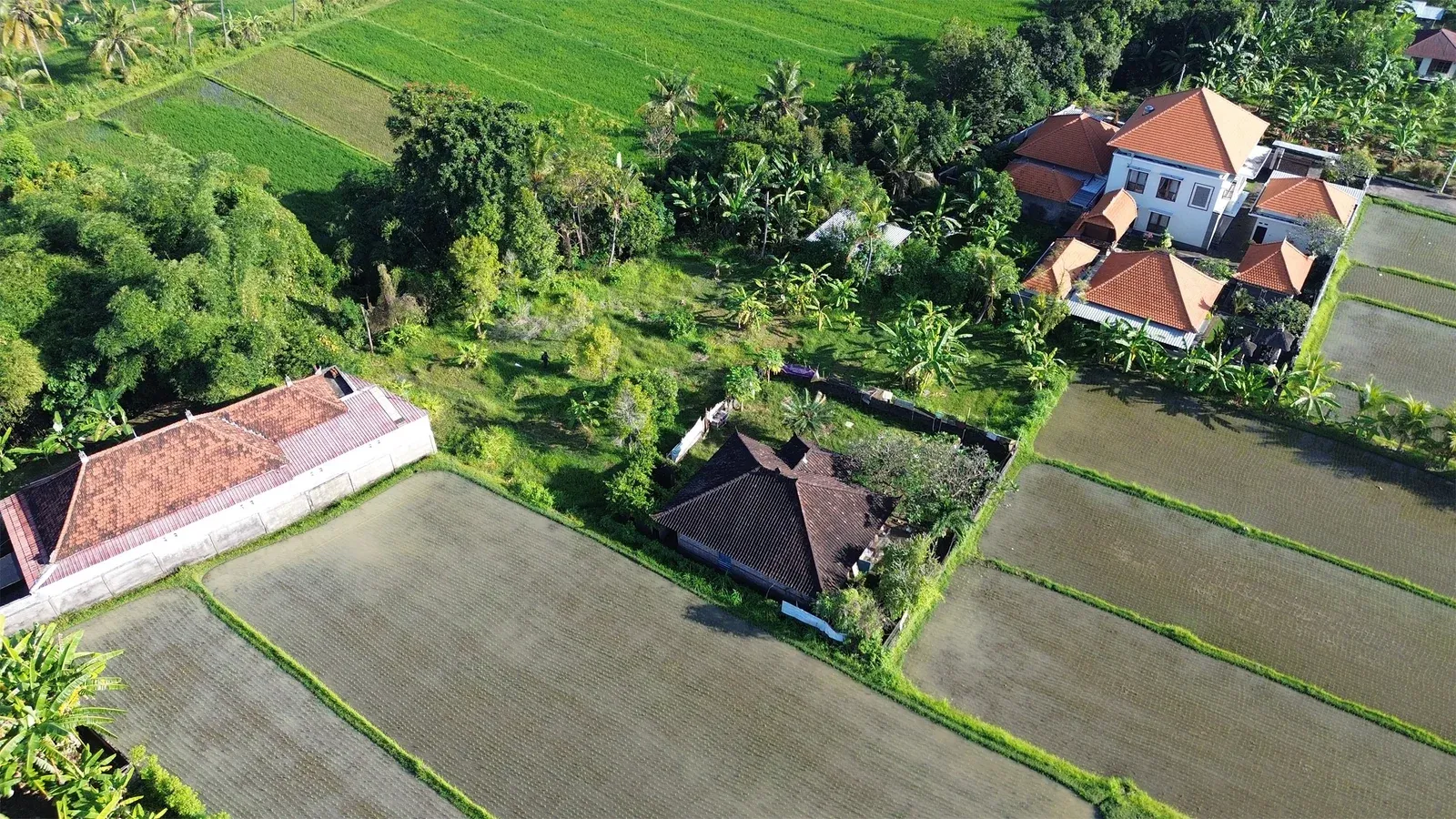 Dijual Tanah Dengan View Sawah di Sangket Sukasada