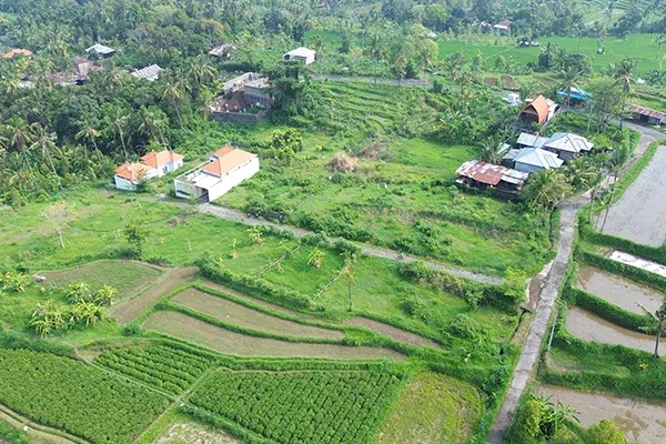 Dijual Tanah Kavling Luasan Kecil Dekat Monumen Desa Panji - 3