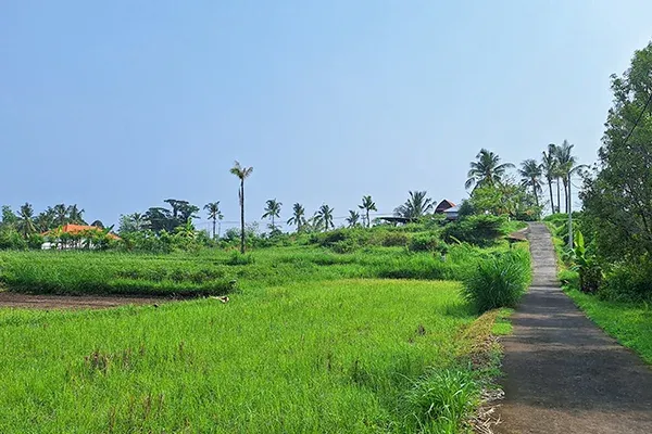 Dijual Tanah Kavling Luasan Kecil Dekat Monumen Desa Panji - 5