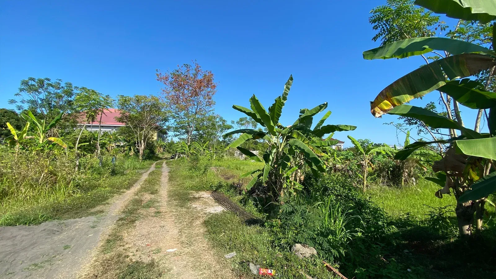 Dijual Tanah Kavling Sebelah Kampus Undiksha Jinengdalem - 3