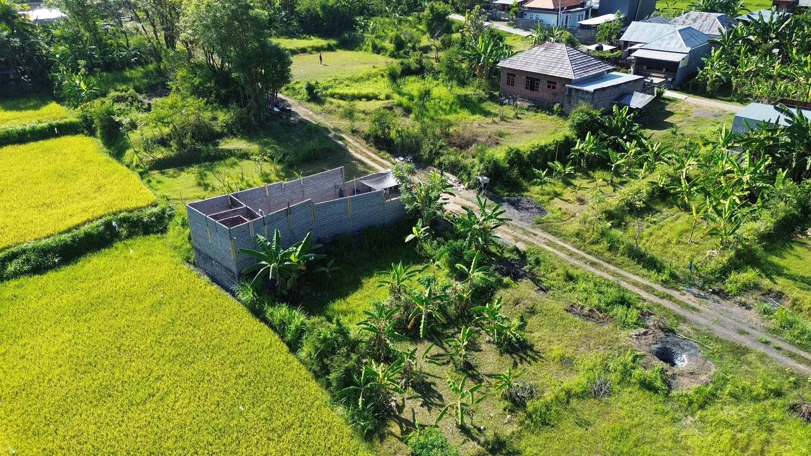 Dijual Tanah Kavling Sebelah Kampus Undiksha Jinengdalem - 4