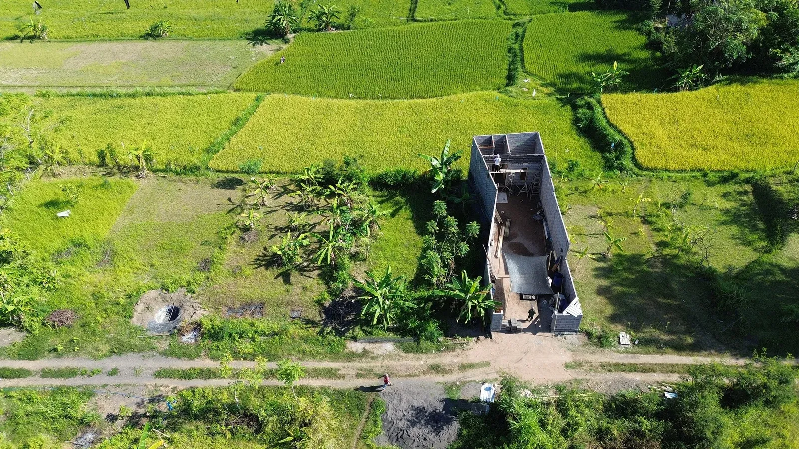 Dijual Tanah Kavling Sebelah Kampus Undiksha Jinengdalem - 5