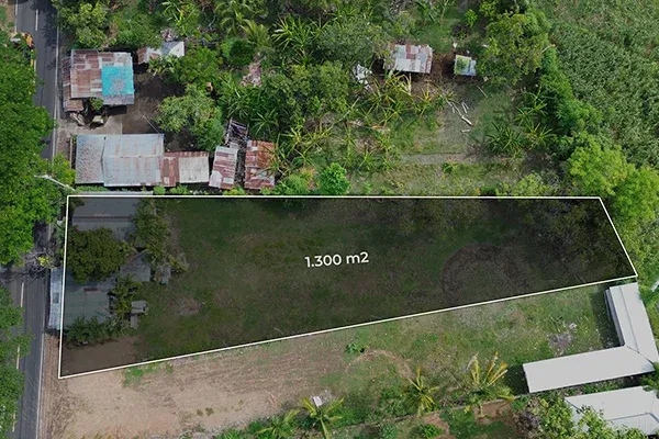 Dijual Tanah Pinggir Jalan di Kawasan Hotel Lovina - 5