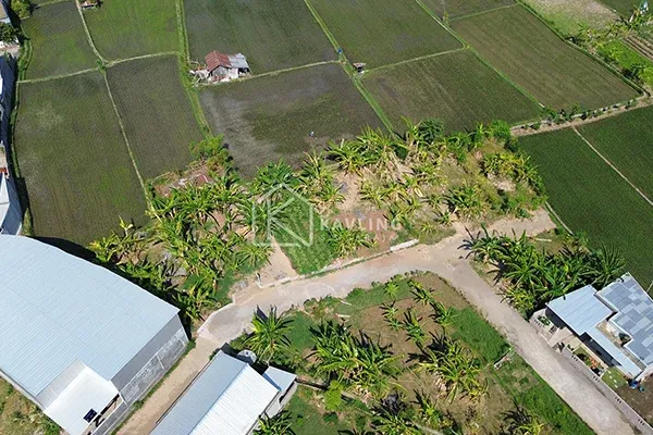 Tanah Dijual di Depan Pura Dalem Pemaron Singaraja