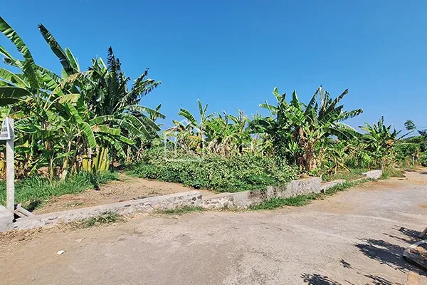 Tanah Dijual di Depan Pura Dalem Pemaron Singaraja - 4