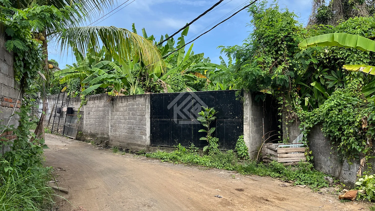 Tanah Kavling Dekat Jalan Utama di Kawasan Lovina - 2