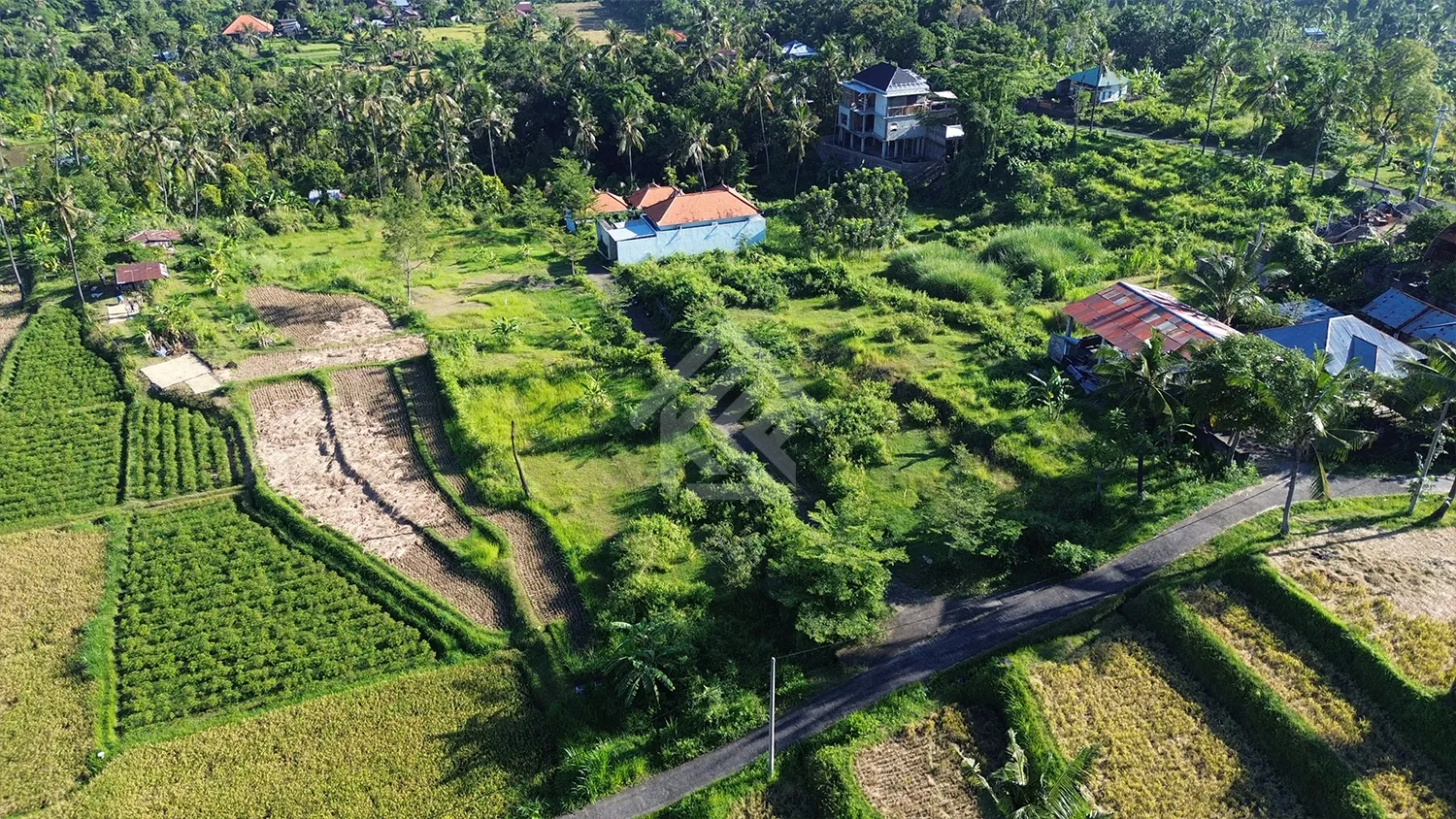 Tanah Kavling Dengan Pemandangan Bukit di Desa Panji - 6