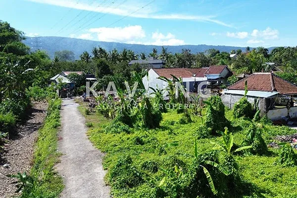 Tanah Kavling Murah Luas 1 Are di Perumahan Tukadmungga Lestari Buleleng - 5